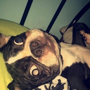 Meet your Posher, Heather